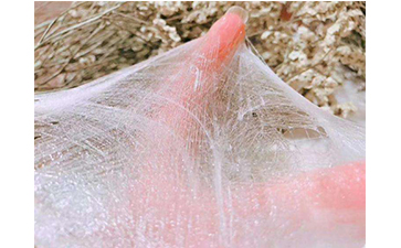 怎樣去辨別蠶絲面膜的真假？